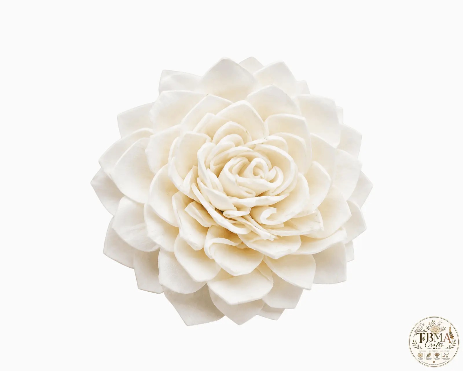 Natural White Dahlia Sola Wood Flowers Eco-Friendly Handmade Floral Beauty
