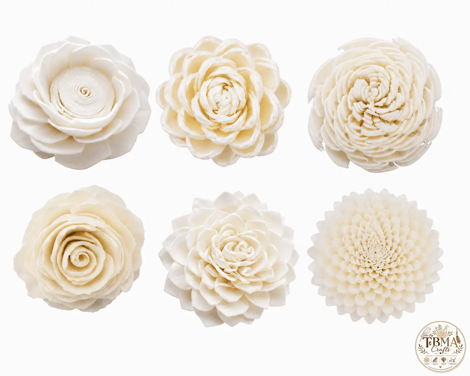 Natural White Sola Wood Flowers Assortment 2 (Without Bark) Premium Mix & Match Value Pack