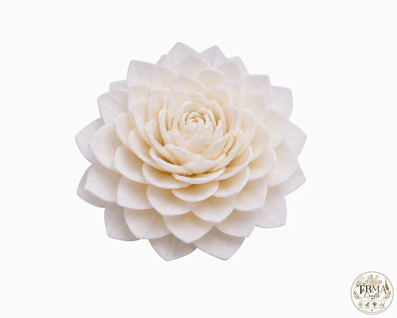 Natural White Waterlily Sola Wood Flowers Eco-Friendly Handmade Craft Supplies