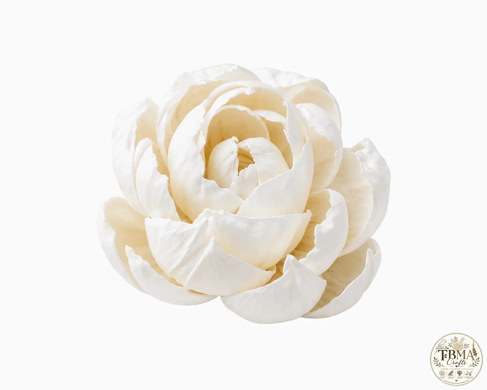 Natural White Peony Sola Wood Flowers Eco-Friendly Handmade Floral Beauty